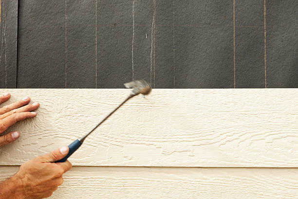 Best Brick Veneer Siding  in Lithonia, GA